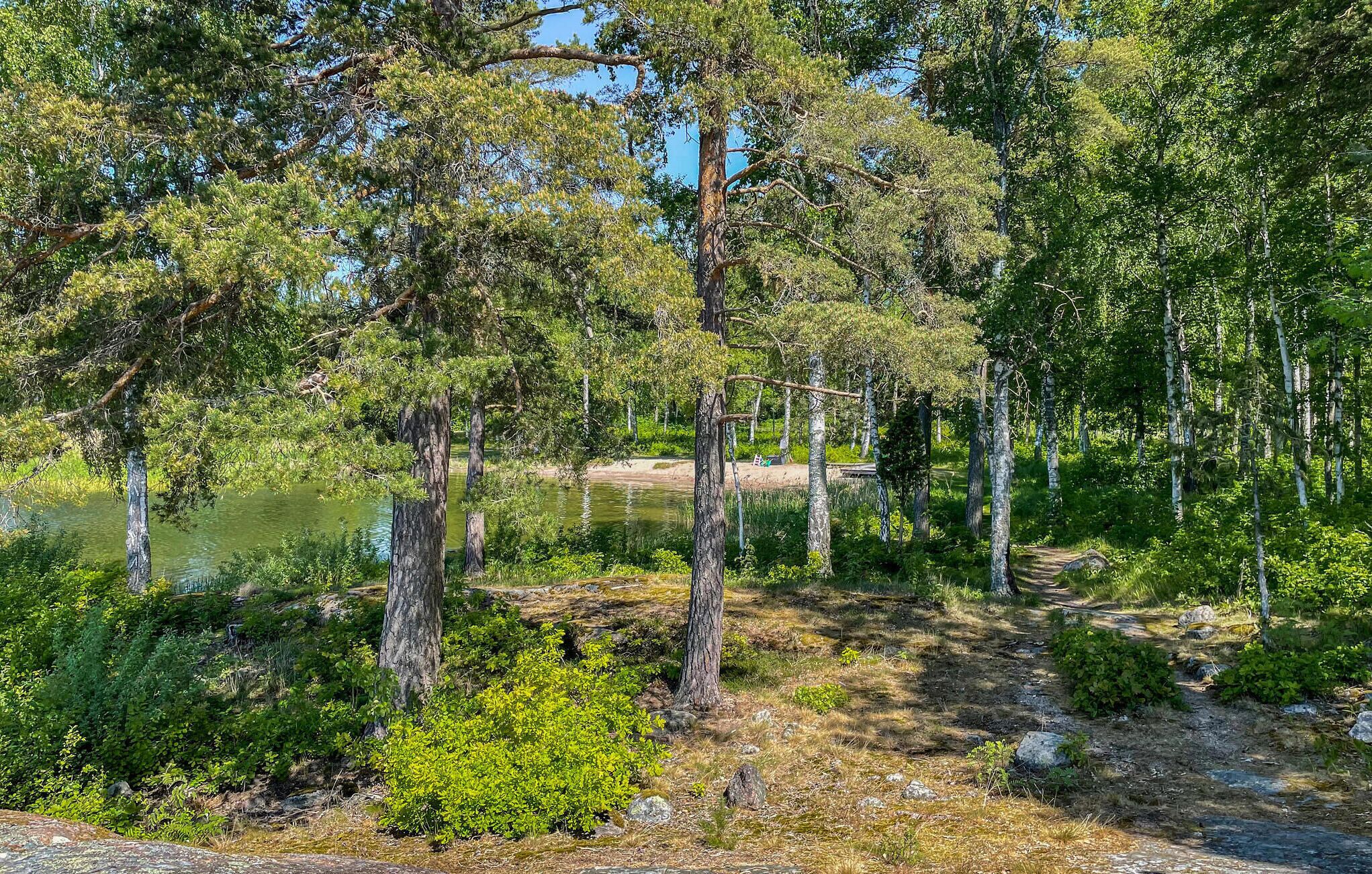 Luonnonmukainen maisema, jossa on järvi, puita ja sorapolku.