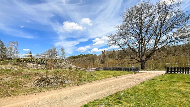 Un sendero de tierra que conduce a un puente de madera sobre un terreno rocoso, rodeado de pasto y árboles.