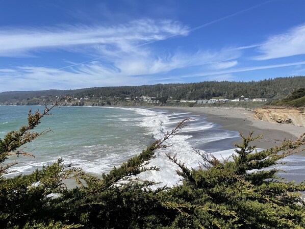 Beach nearby - Peaceful Retreat with Ocean Views, Tall Pine Trees, and Beautiful Garden (Gualala)