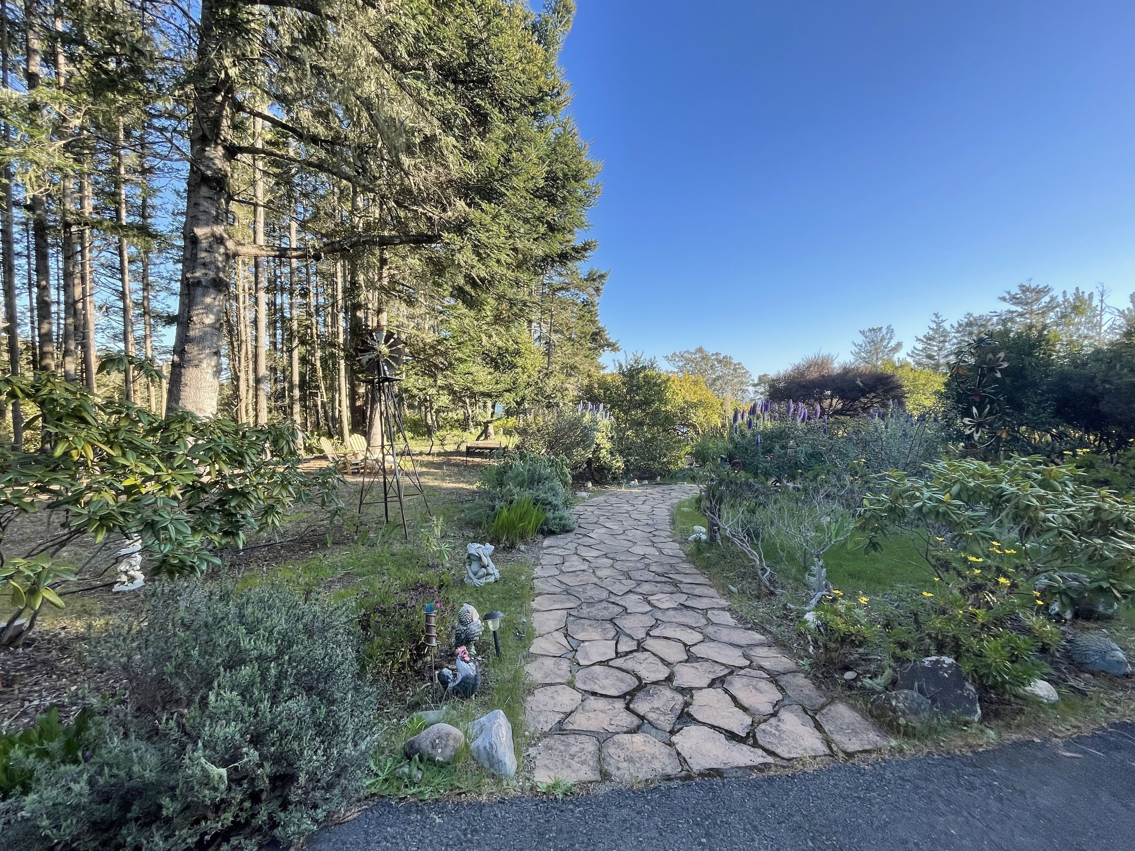 A stone pathway leading through a garden with various plants and a windmill.