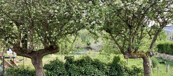 Gîte avec vue sur le Doubs, à proximité des sentiers de randonnées