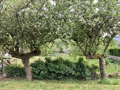 Gîte overlooking the Doubs, close to hiking trails