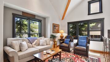 Télévision, cheminée, lecteur de DVD, livres