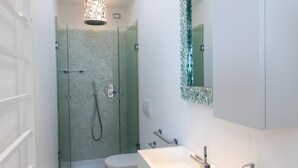 A modern bathroom with a glass-enclosed shower, a white toilet, and a vanity with a mirror.