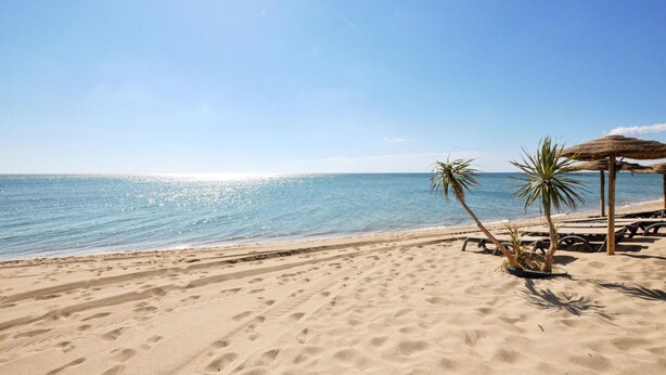 A beach with clear skies, calm water, and a few palm trees. - Stunning apartment in Canet en Roussillon (Canet en Roussillon)