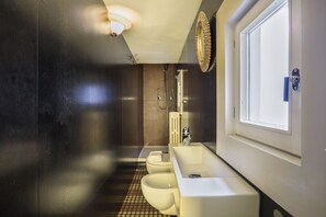 Shower, hair dryer, bidet, towels