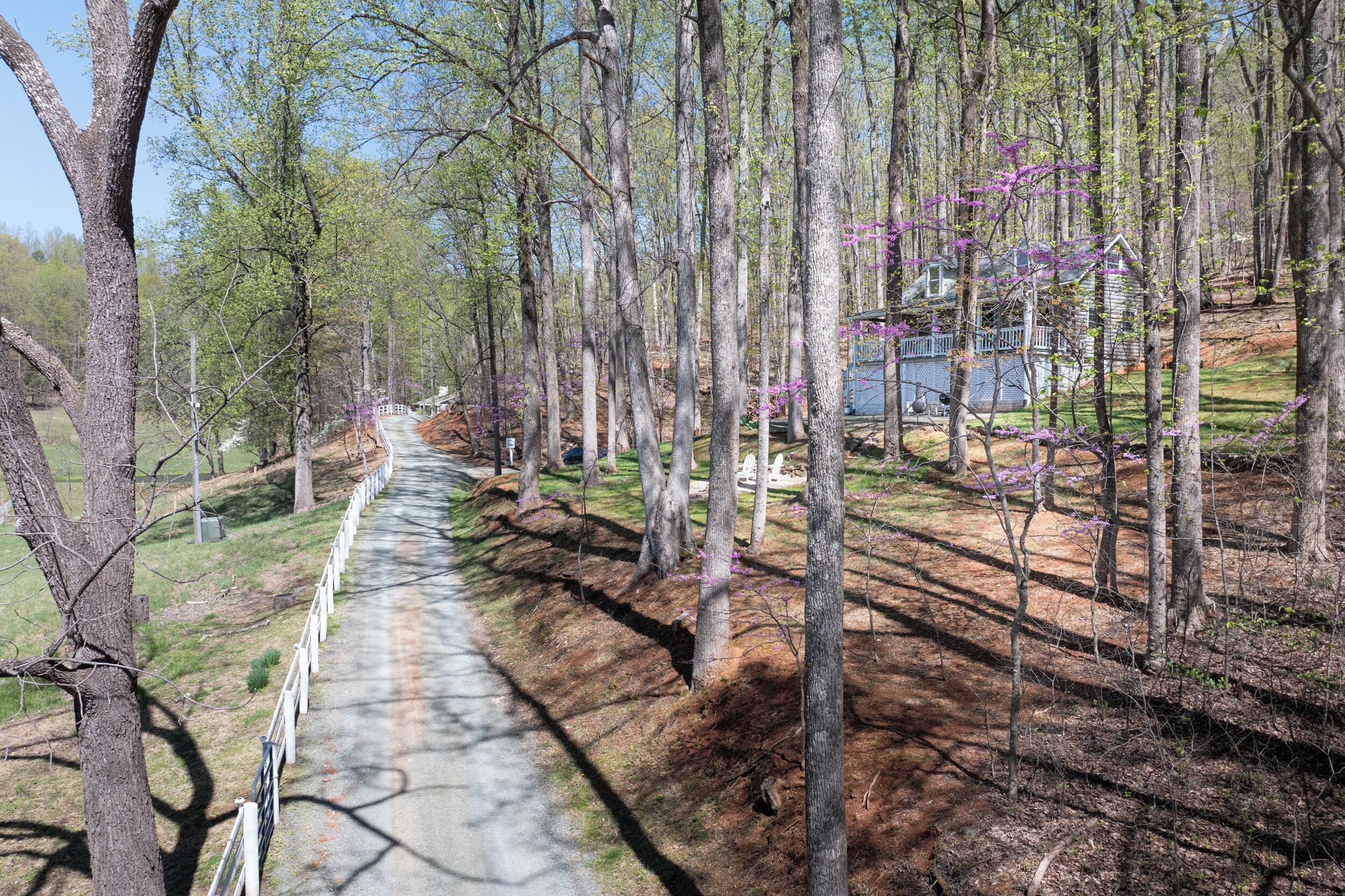 A forested area with a paved path, a small building, and a body of water in the background.