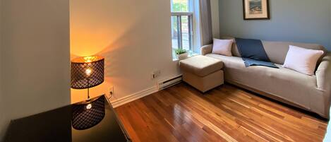 スマートテレビ、書庫、ステレオ