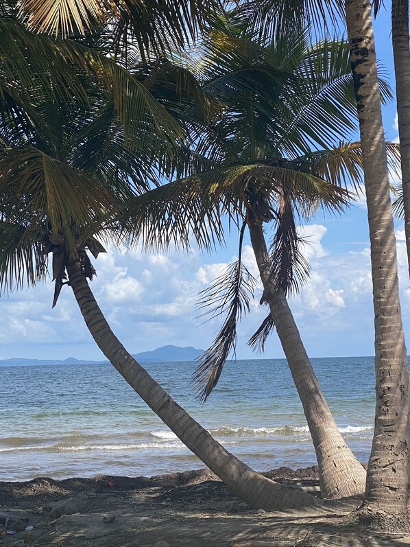 Camastros y toallas de playa