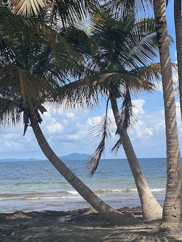 Walk to the Beach taking in the Ocean Breeze