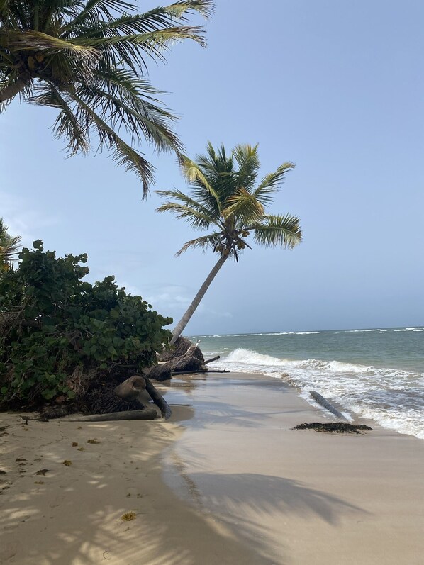 Sun loungers, beach towels