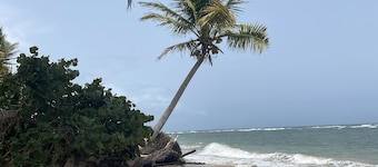 Walk to the Beach taking in the Ocean Breeze