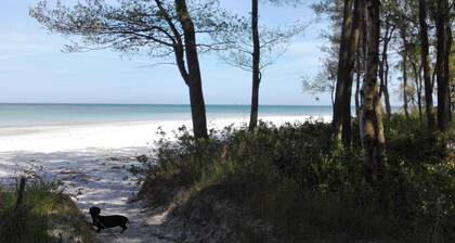 Cozy holiday home on Sydbornholm