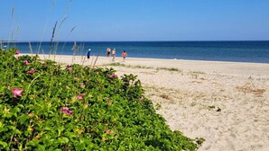 A beach with people walking, clear blue sky, and ocean. - 5 Person Holiday Home in Sydals (Sydals)