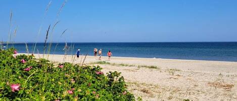 Una playa con gente caminando, cielo azul despejado y océano.