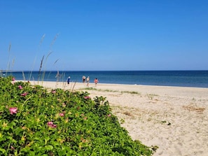 A beach with people walking, clear blue sky, and ocean. - 5 Person Holiday Home in Sydals (Sydals)