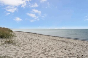 Ranta