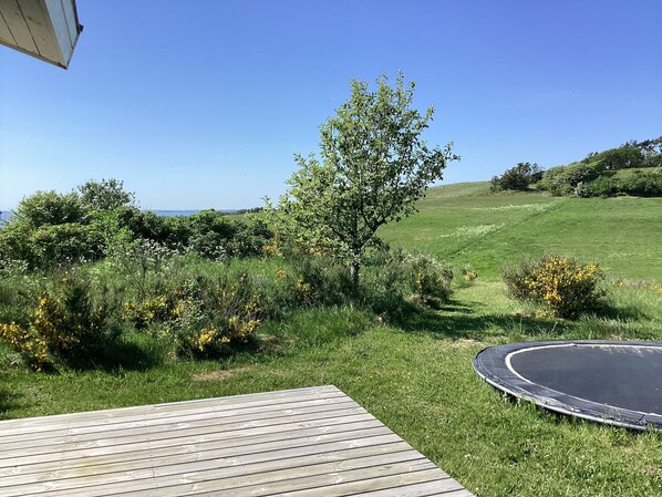 Una terraza de madera, un trampolín y un paisaje con césped, árboles y arbustos.