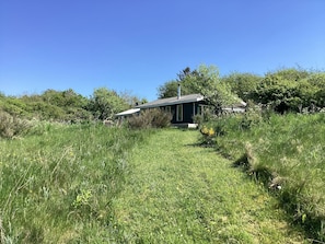 Ein Haus, umgeben von hohem Gras und Bäumen.