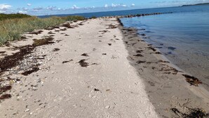 Ein sandiger Strand mit Seetang und Felsen, ein klarer Himmel und ruhige See.
