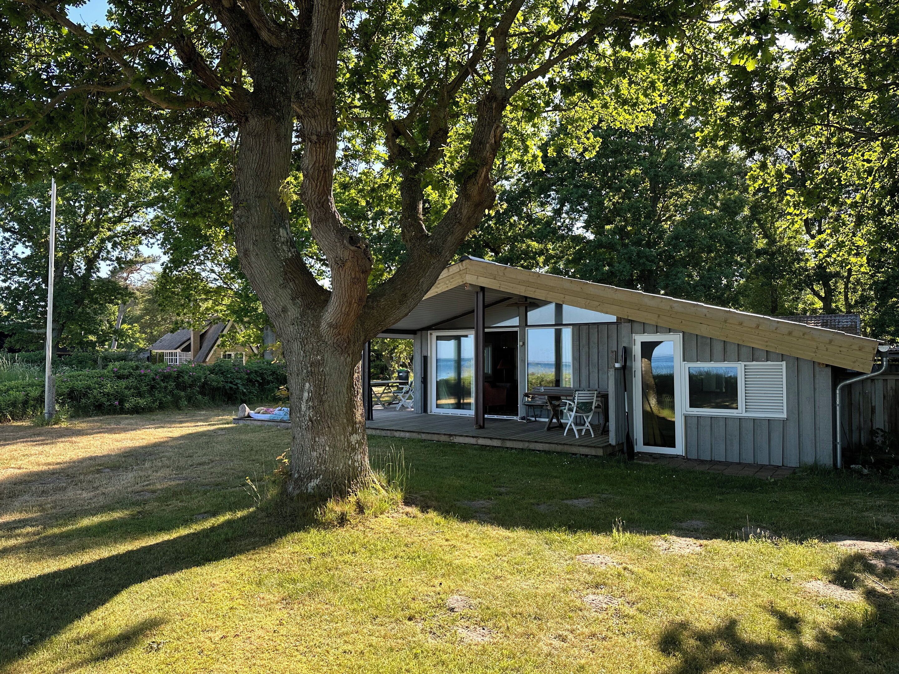 Terrasse/gårdhave