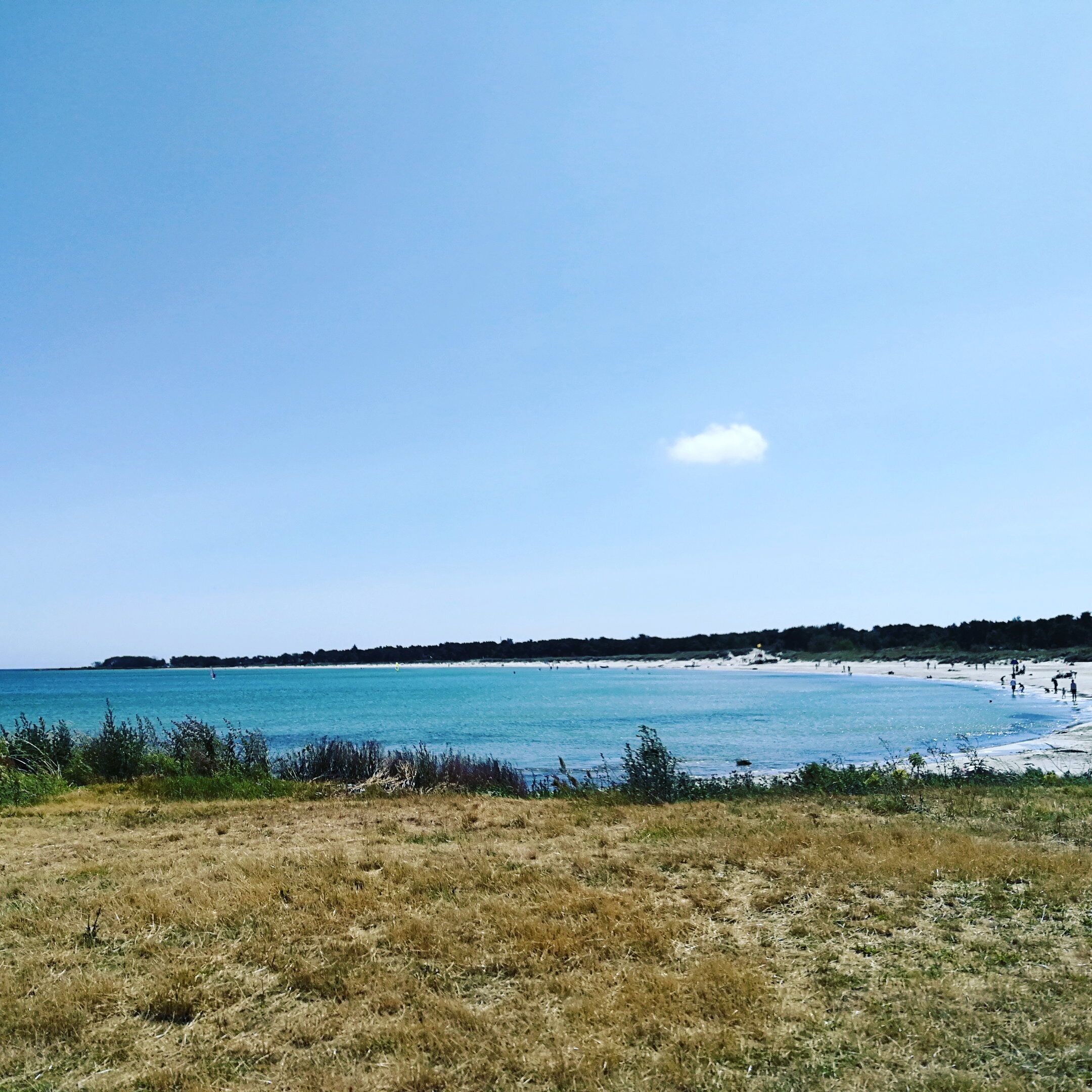 A beach with clear blue water, a grassy foreground, and a distant shoreline with people.