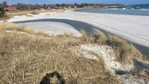 A beach with a sandy shoreline, a grassy area in the foreground, and houses in the background.