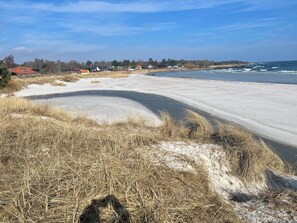 Una playa con una orilla arenosa, un área verde en primer plano y casas al fondo.