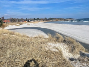 Uma praia com areal, uma área gramada em primeiro plano e casas ao fundo.