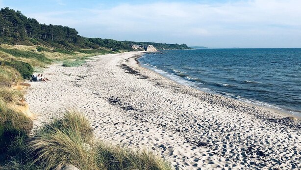 Une plage avec un rivage sablonneux, des zones herbeuses et une colline boisée en arrière-plan.