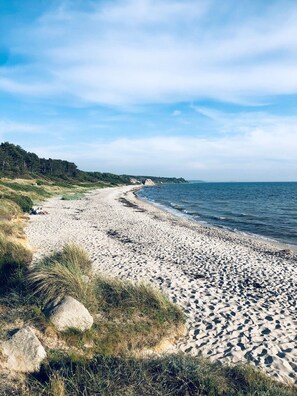 A beach with a sandy shore, grassy areas, and a forested hill in the background. - Cozy holiday home close to forest and beach (Hasle)