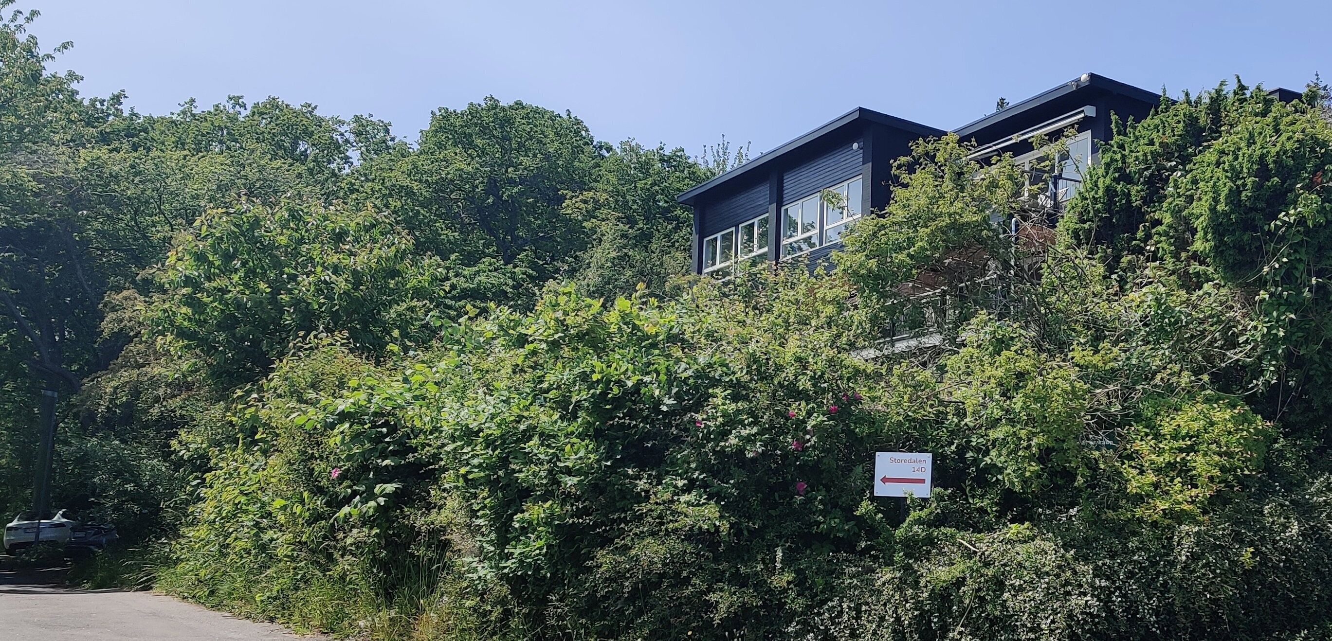 Exteriör
