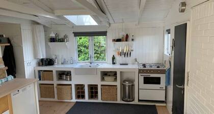 Cozy and modernized fishing cabin