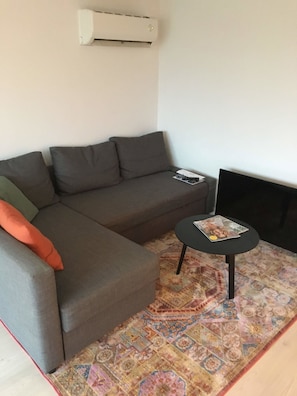 Un salon avec un canapé gris, une petite table ronde sur laquelle repose un magazine, un téléviseur à écran plat et un tapis à motifs.