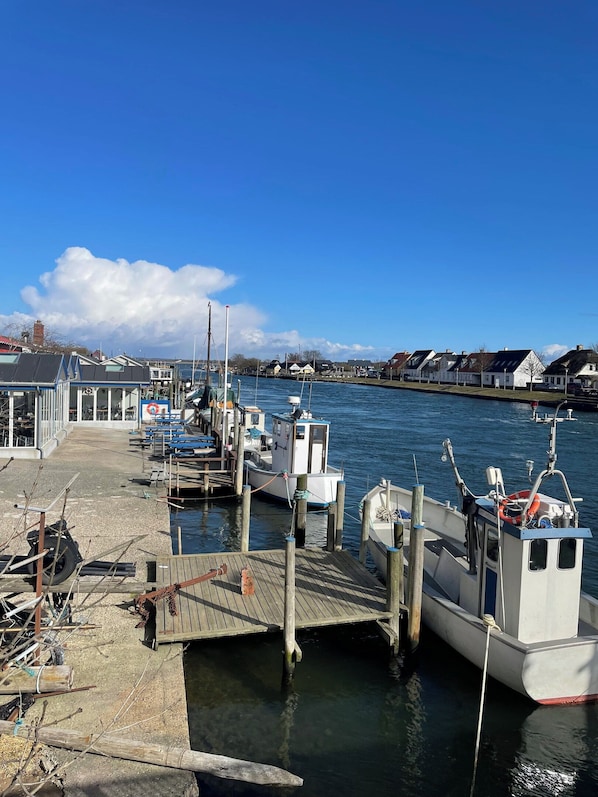 A marina with docked boats, a pier, and houses in the background.