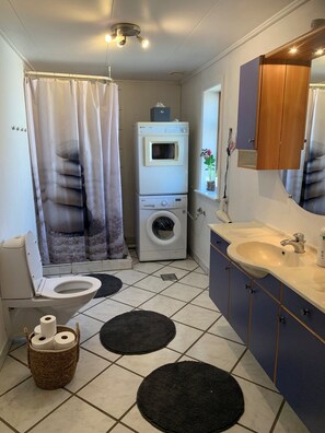 Shower, hair dryer