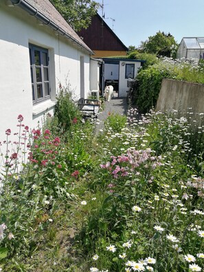 Ein weißes Gebäude mit Fenster und Tür, ein Garten mit verschiedenen Blumen und ein Gewächshaus im Hintergrund.