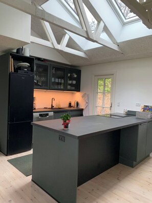 Una cocina moderna con una isla central, electrodomésticos integrados y un tragaluz.
