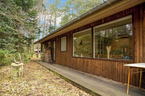 Dejligt sommerhus midt i skoven, tæt på vandet