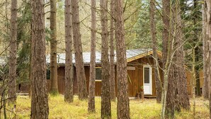 A rustic cabin surrounded by tall trees in a forest. - Nice summer house in the middle of the forest (Store Fuglede)