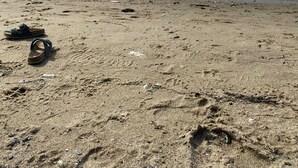 A beach with footprints, a pair of sandals, and a person standing in the water. - Idyllic summer house at the water's edge (Spøttrup)