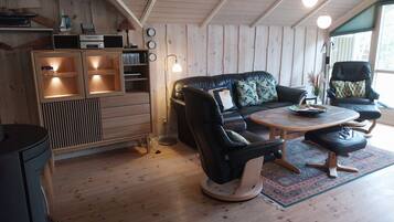 En hyggelig stue med en sofa, et sofabord, et tv-møbel og en bogreol.