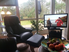 Televisión LED, chimenea, reproductor de DVD y estéreo 