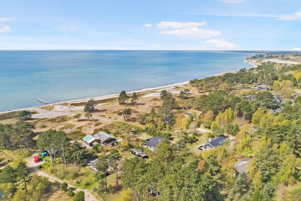 An aerial view of a coastal residential area with houses surrounded by trees and a beach.