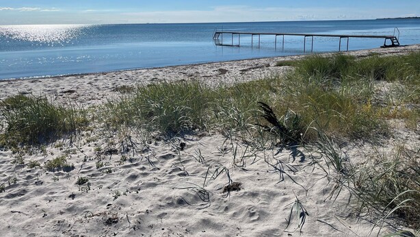 Une plage avec une jetée qui s’avance dans l’eau, des dunes de sable et une végétation clairsemée.
