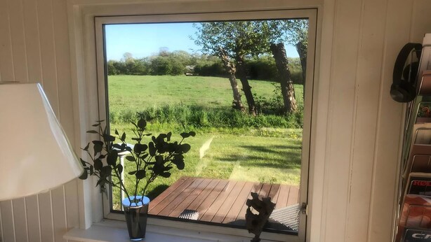 A window with a view of a grassy field and trees, a potted plant, and a wooden deck. - Quietly located holiday home close to the sea (Brenderup)