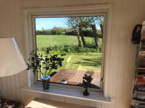 A window with a view of a grassy field and trees, a potted plant, and a wooden deck.