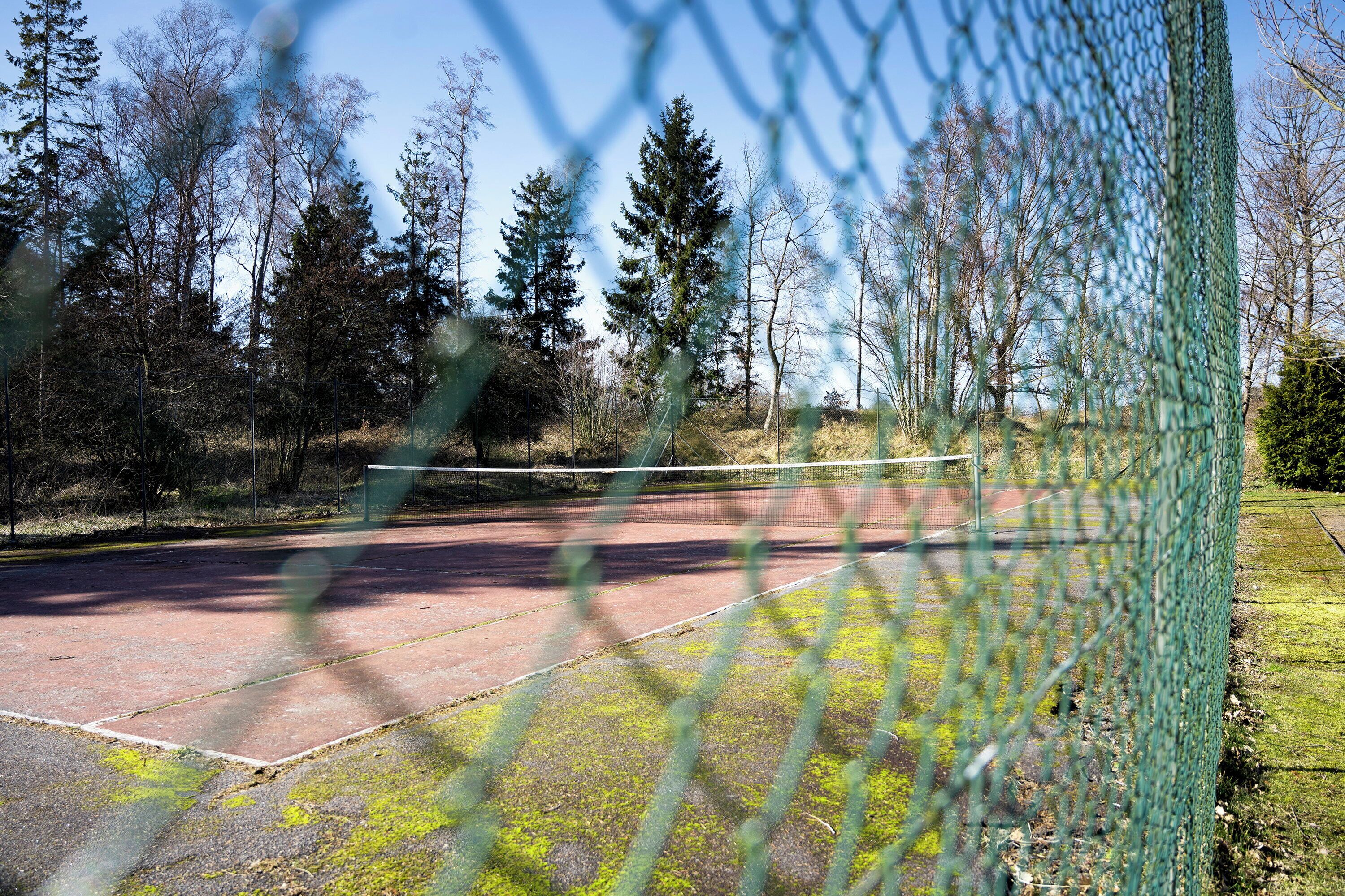A tennis court with a chain-link fence, surrounded by trees and a clear sky.