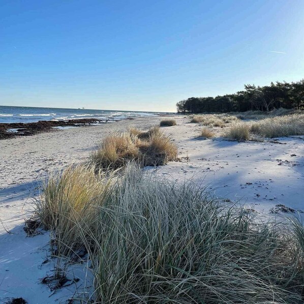 Beach - Holiday apartment in peaceful surroundings (Nexø)