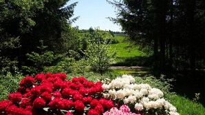 A garden with red and white flowers, surrounded by trees and a grassy field. - Cottage on Fur island with exceptional sea view (Fur)